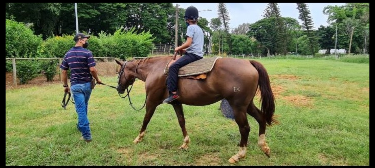 ATIVIDADES ASSISTIDAS COM CAVALOS - ESALQ/USP - 2022