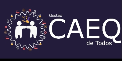 Imagem do Organizador