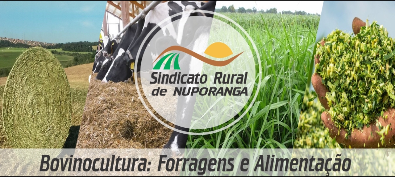 Evento