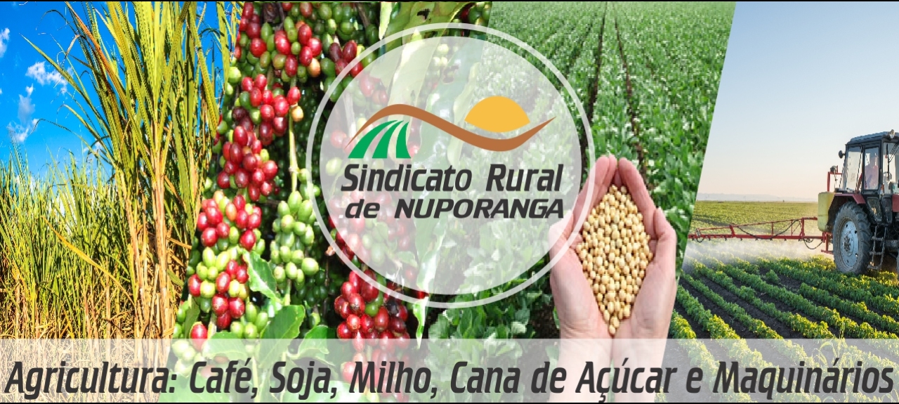 AGROTÓXICOS: SEGURANÇA NR31.7 E APLICAÇÃO E REGULAGEM DE PULVERIZADOR