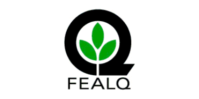 Imagem do Organizador