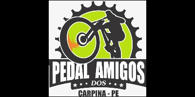 Imagem do Organizador