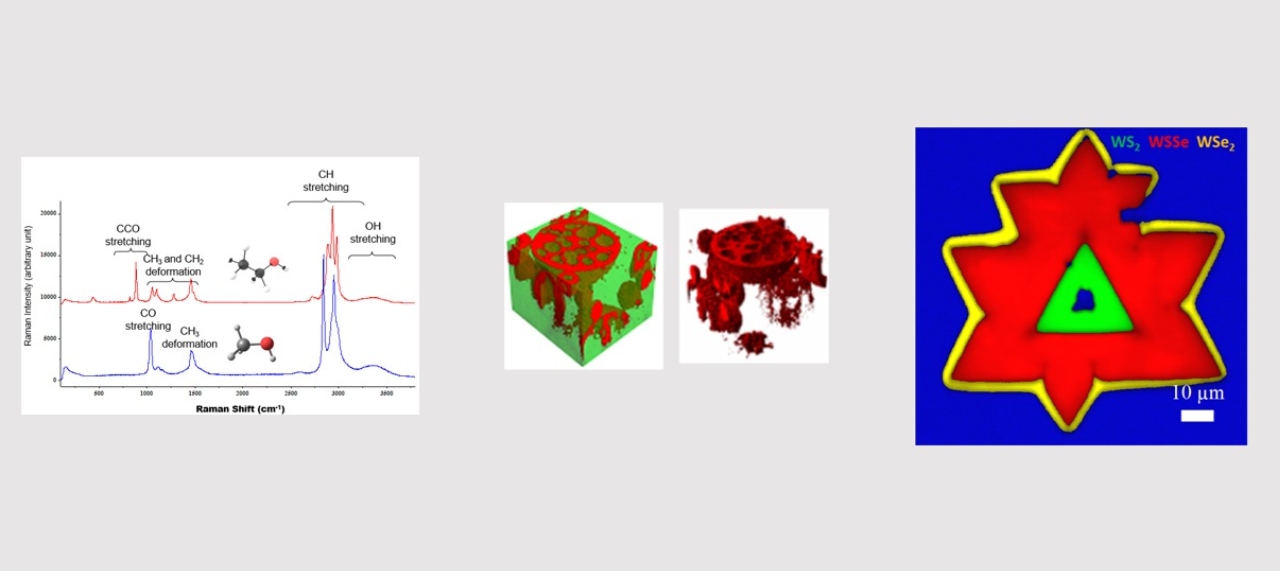 Evolução da Espectroscopia Raman:  Inovadores métodos de escaneamento de amostras, quimiometria por inteligência artificial, microgeoprocessamento de imagens e correlações colocalizadas com Microscopia Eletrônica de Varredura e MicroFluorescência de Raios