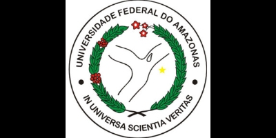 Imagem do Organizador