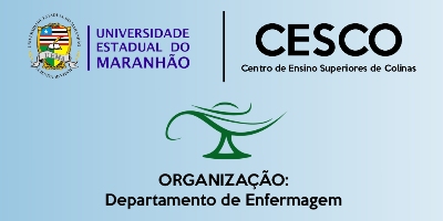 Imagem do Organizador