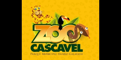 Imagem do Organizador