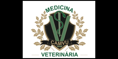 Imagem do Organizador