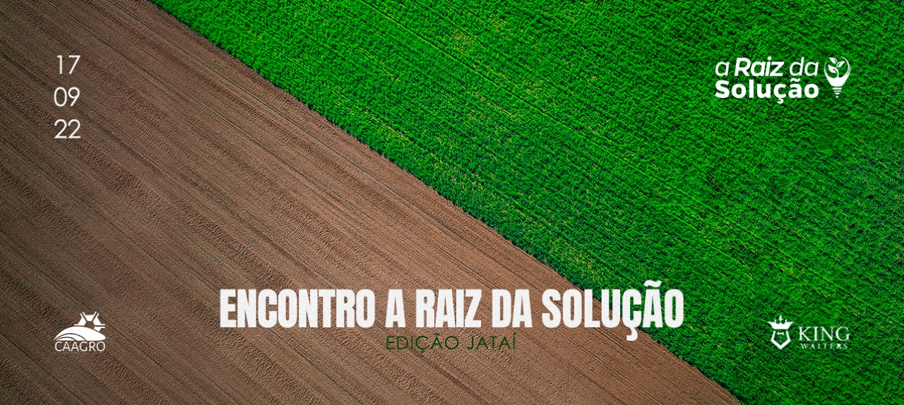 Encontro A Raiz da Solução