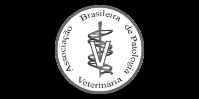 Imagem do Organizador
