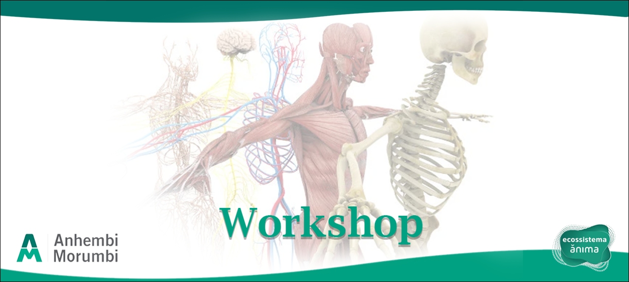Biossistemas do Corpo Humano