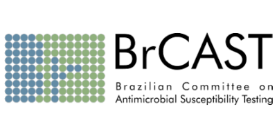 Imagem do Organizador