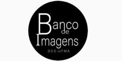 Imagem do Organizador