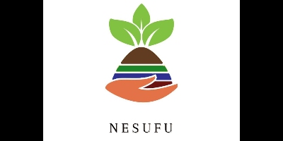 Imagem do Organizador