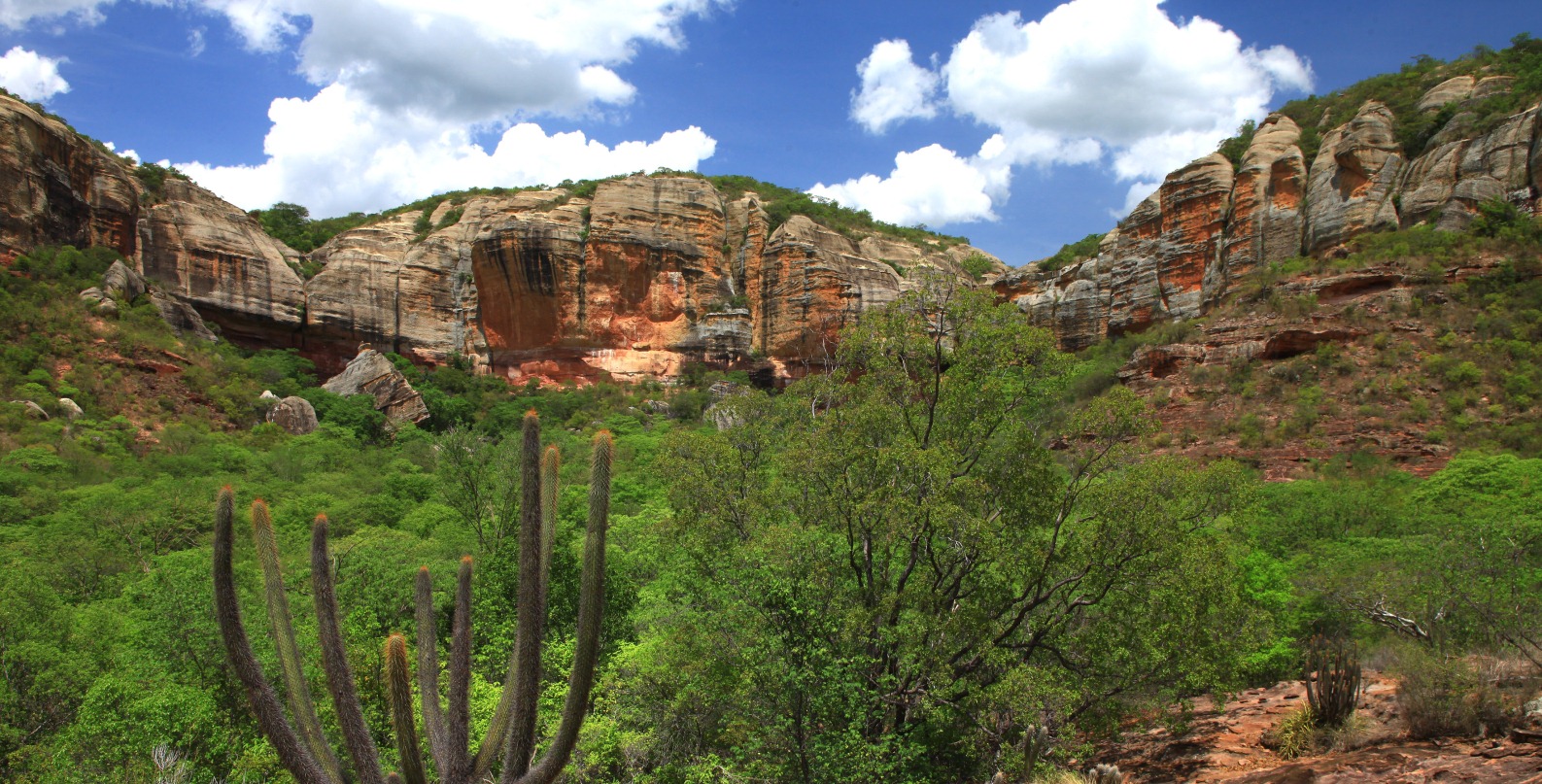 I Seminário Conservação da Caatinga Frente às Secas, à Desertificação e às Mudanças Climáticas (I SMC3)