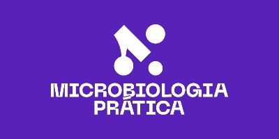 Imagem do Organizador