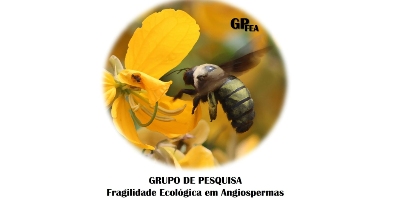 Imagem do Organizador