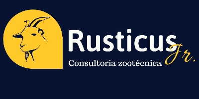 Imagem do Organizador
