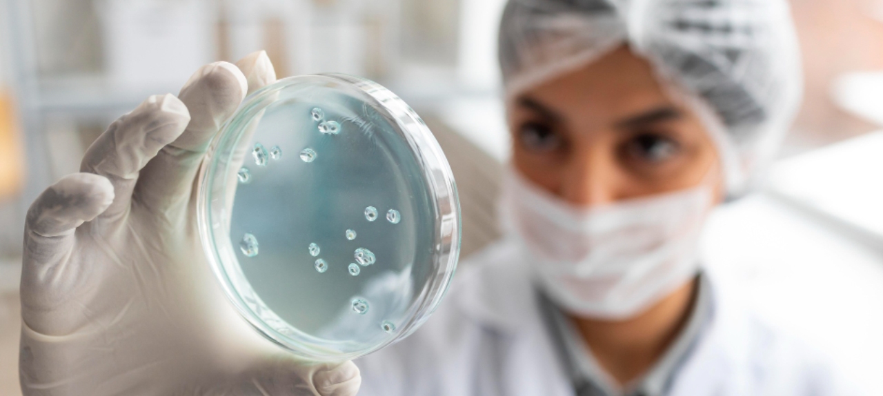 Aula Prática de Microbiologia Básica