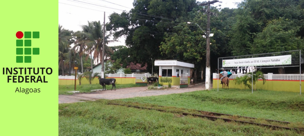 PLANEJAMENTO E FORMAÇÃO PEDAGÓGICA 2023 - Campus Satuba