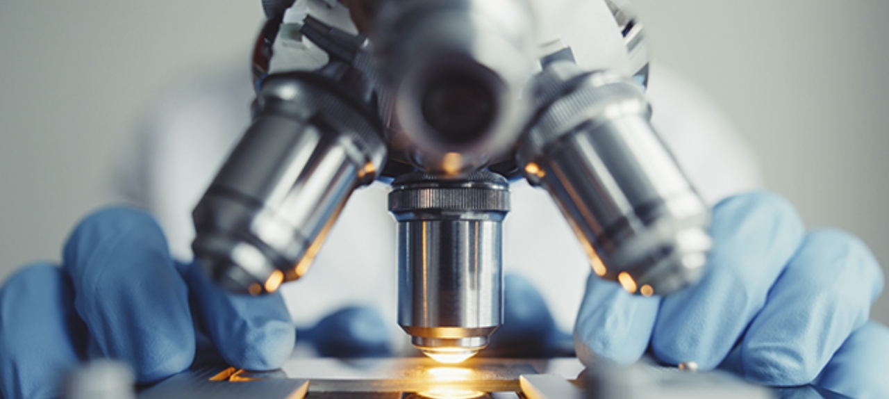 Aula de HEMATOLOGIA, BACTERIOLOGIA E CITO ONCÓTICA - TURMA 2