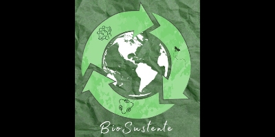 Imagem do Organizador