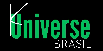 Imagem do Organizador