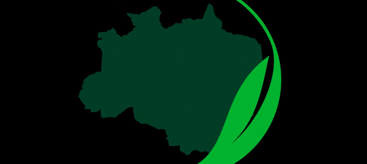 II WORKSHOP ESTRATÉGIAS PARA REDUÇÃO DE RISCOS E DESASTRES NA AMAZÔNIA