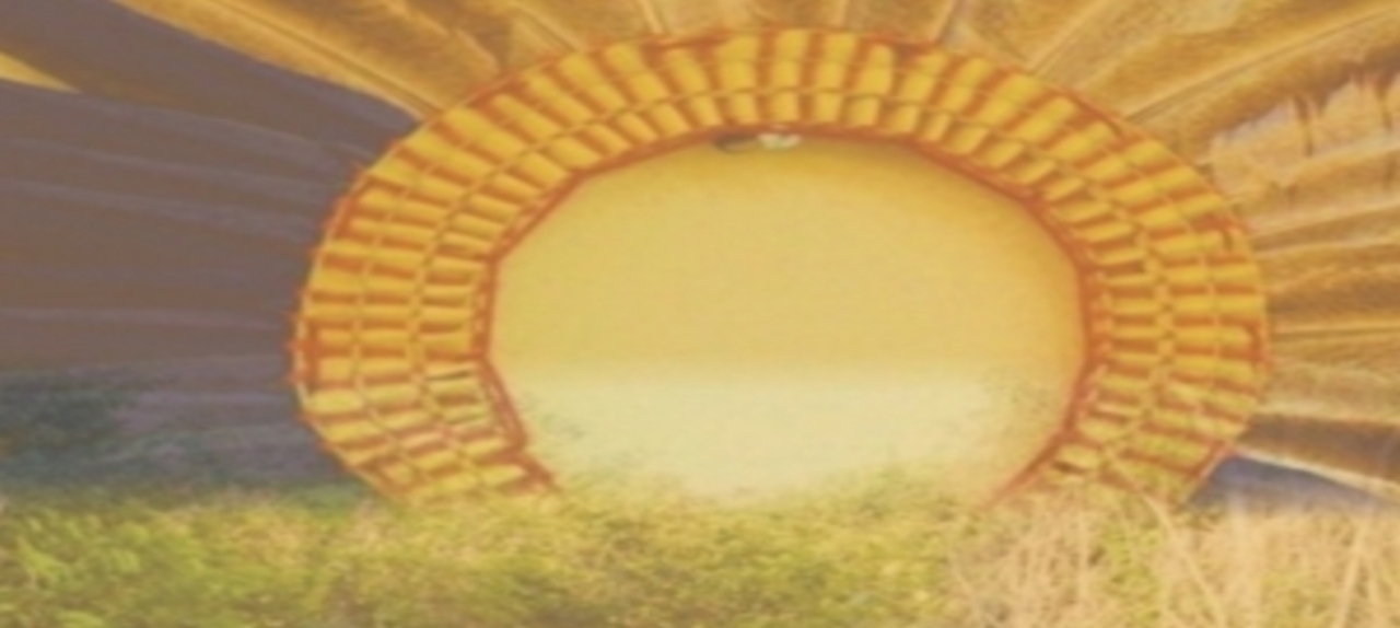 III SEMINÁRIO CORPO, EDUCAÇÃO, RESISTÊNCIAS E MOVIMENTOS SOCIAIS AFRO E INDÍGENAS NA AMAZÔNIA – IDENTIDADES E TERRITORIALIDADES:  CULTURAS, SABERES, SAÚDE E LUTAS