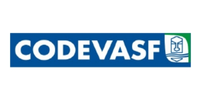 Imagem do Organizador