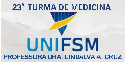 Imagem do Organizador