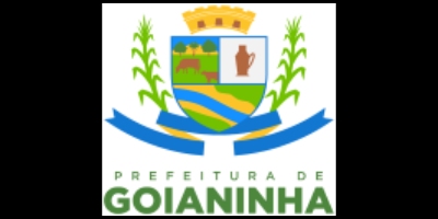 Imagem do Organizador