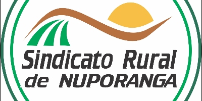 Imagem do Organizador