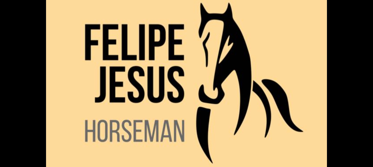 Curso Treinamento de Cavalos com Felipe Jesus