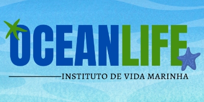 Imagem do Organizador