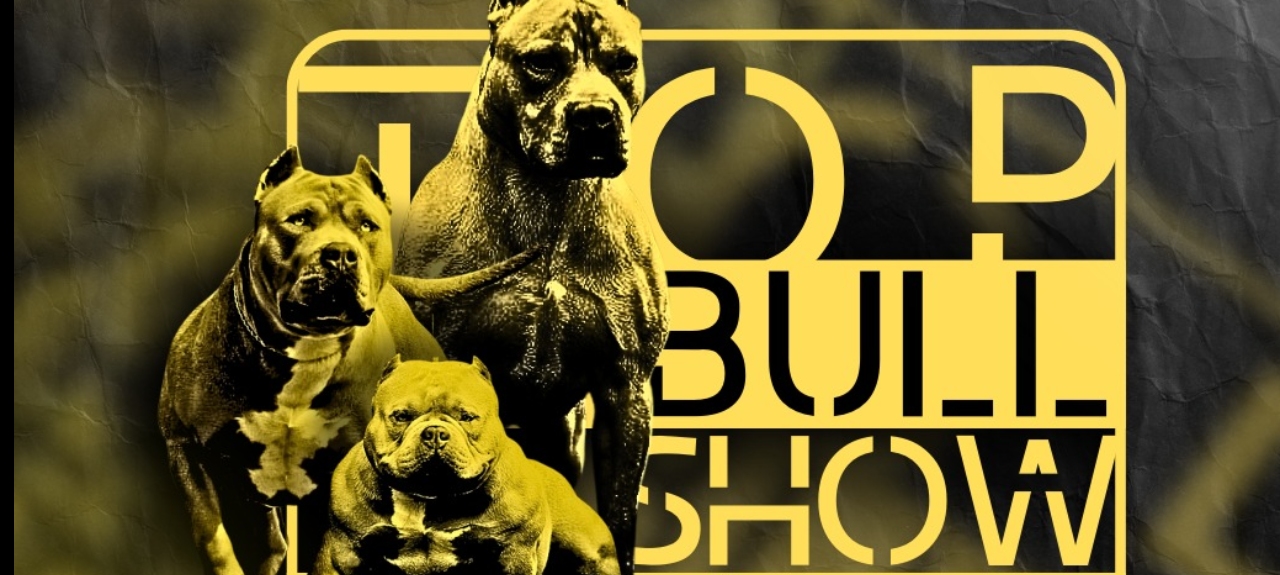 I Top Bull Show(Topdog PB) 2024