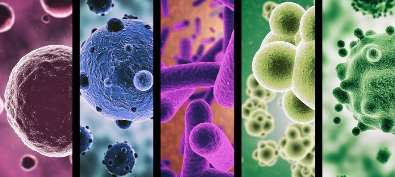 II Semana da Microbiologia: Conservação Ambiental e seus Impactos na Resistência Microbiana