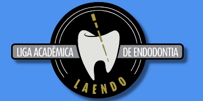 Imagem do Organizador