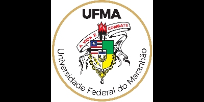 Imagem do Organizador