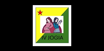 Imagem do Organizador