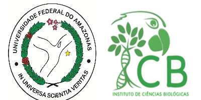 Imagem do Organizador