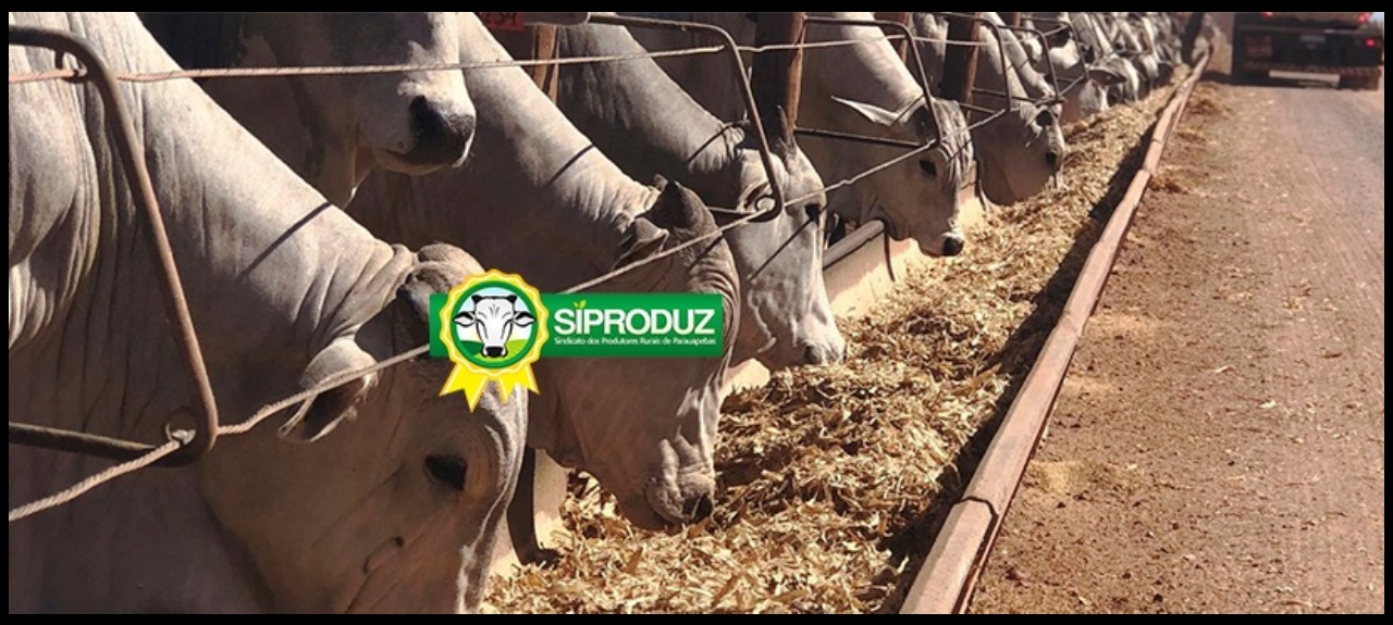 FAP CONHECIMENTO - CURSO DE NUTRIÇÃO ANIMAL