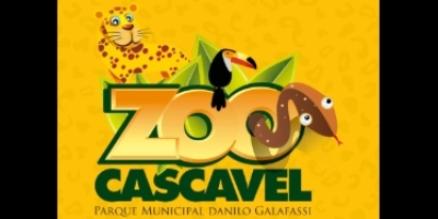 Imagem do Organizador