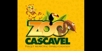 Imagem do Organizador