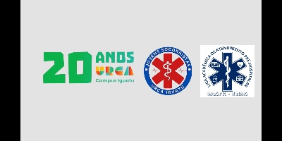 Imagem do Organizador