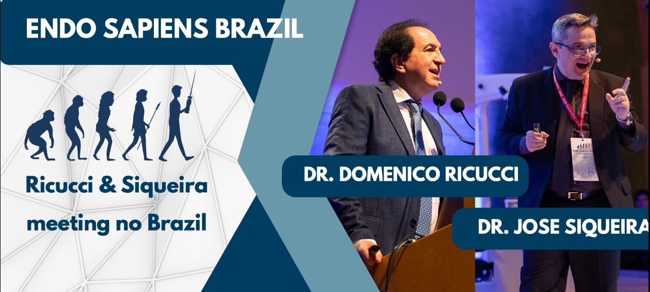 Ricucci & Siqueira - Endo Sapiens meeting no Brazil