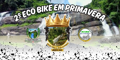 Imagem do Organizador