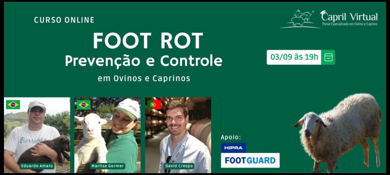 Foot rot - Prevenção e Controle em Ovinos e Caprinos