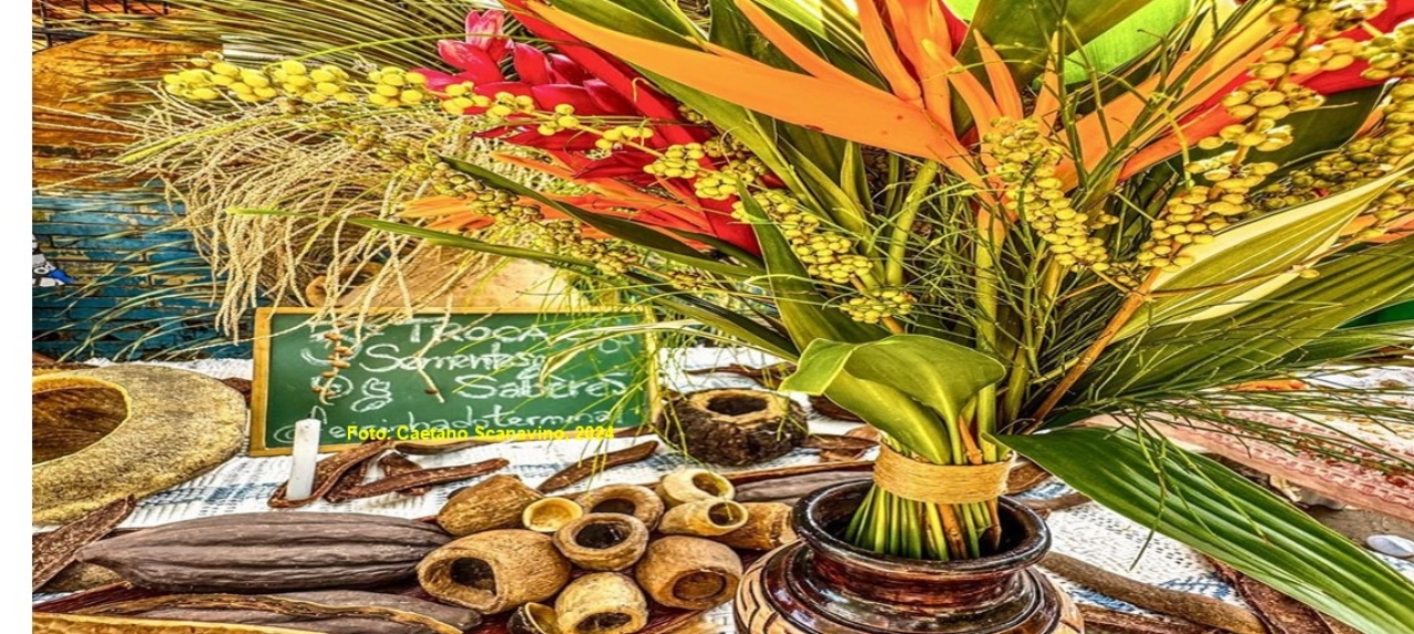 VII FEIRA DE BIOECONOMIA DO TAPAJÓS EM ALTER DO CHÃO