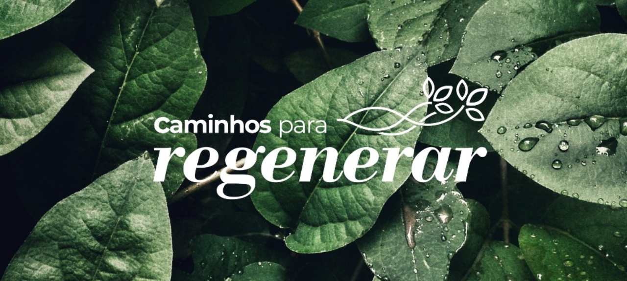 Caminhos para Regenerar