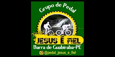 Imagem do Organizador